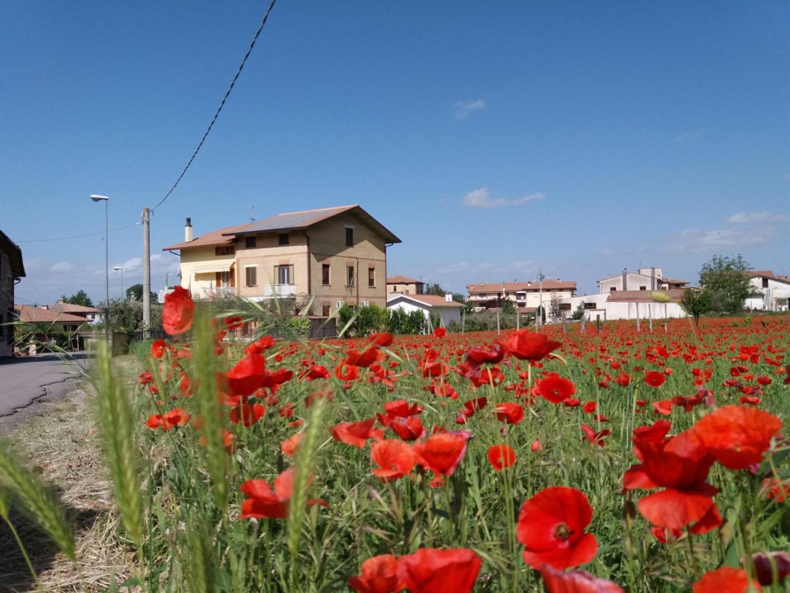 Bed & Breakfast Ciancaleoni Rivotorto Exterior foto